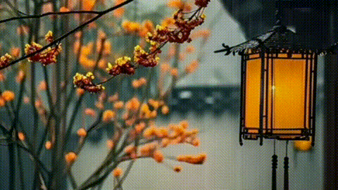 动图
