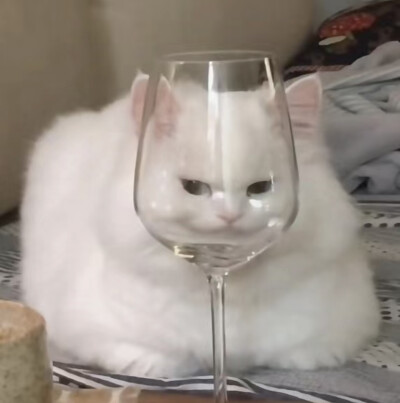 哈哈哈