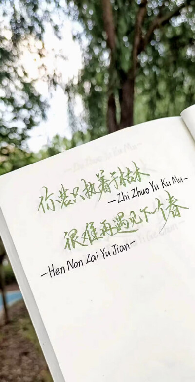 春日背景图