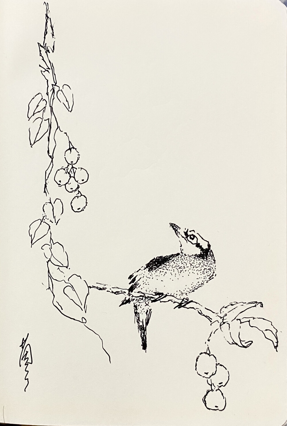 《针管笔点绘》