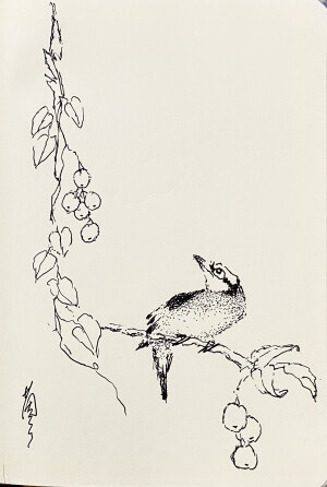 《针管笔点绘》