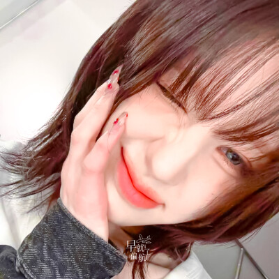 田姬振
