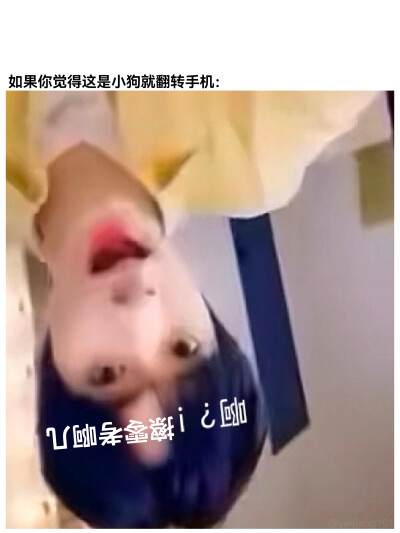 那很meng了