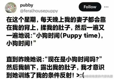 你别再说了我不忍心