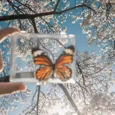背景图