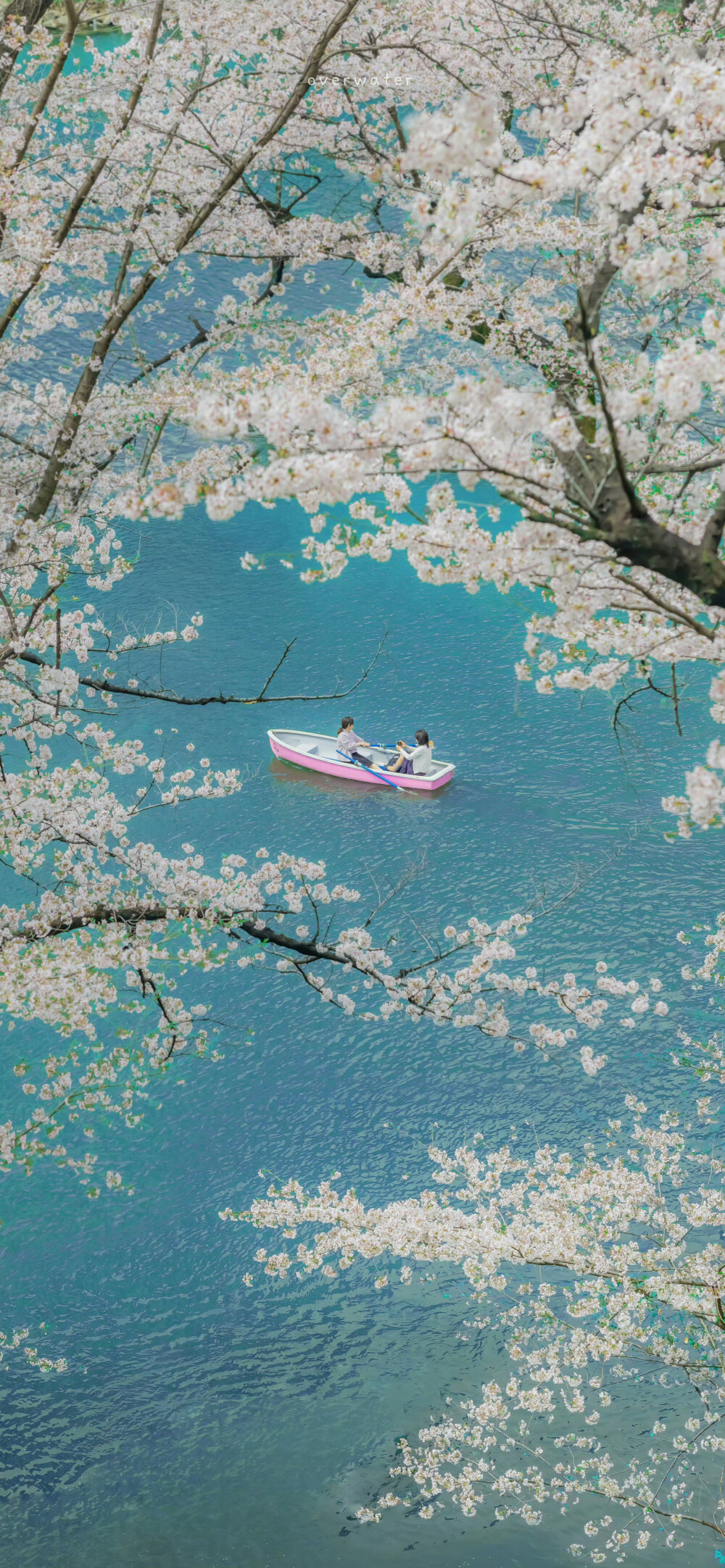 梦幻蓝 ©overwater