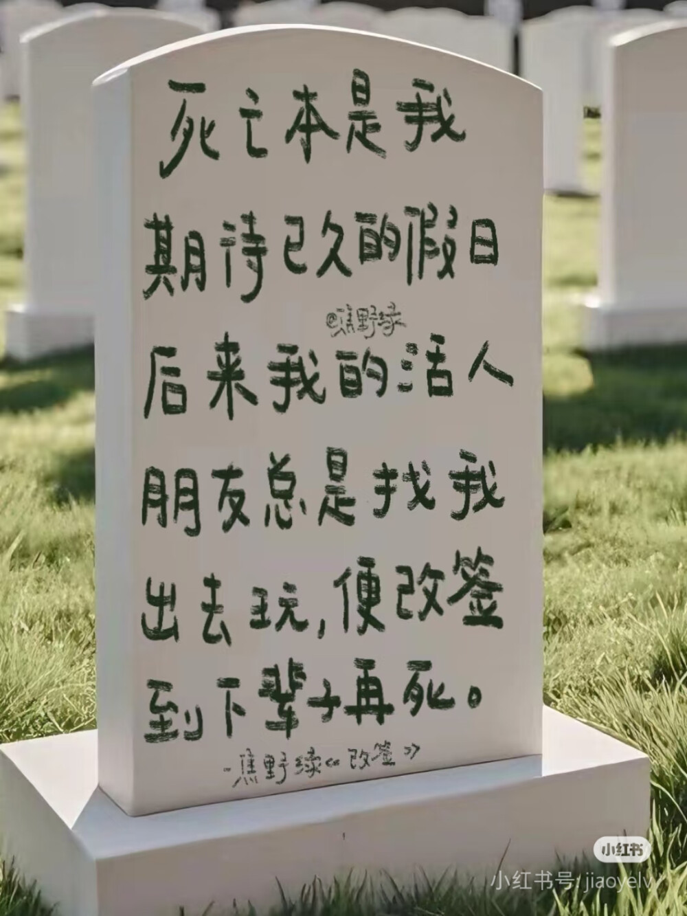 于孤独之巅  听见自由的回响