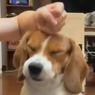 哈哈哈