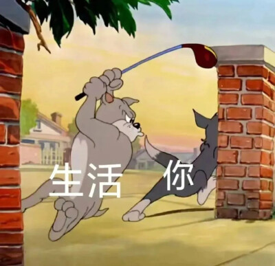 表情包｜猫和老鼠