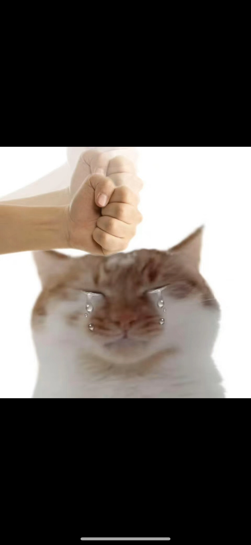表情包