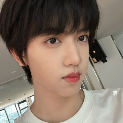 你的小狗真幸运