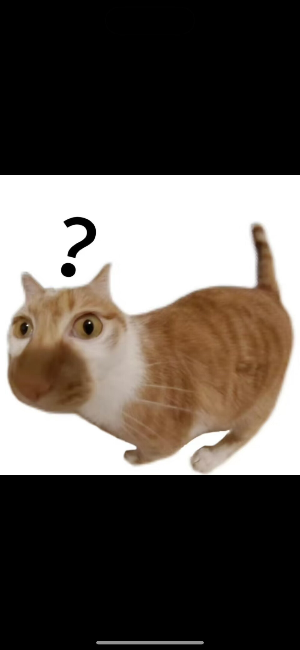 表情包