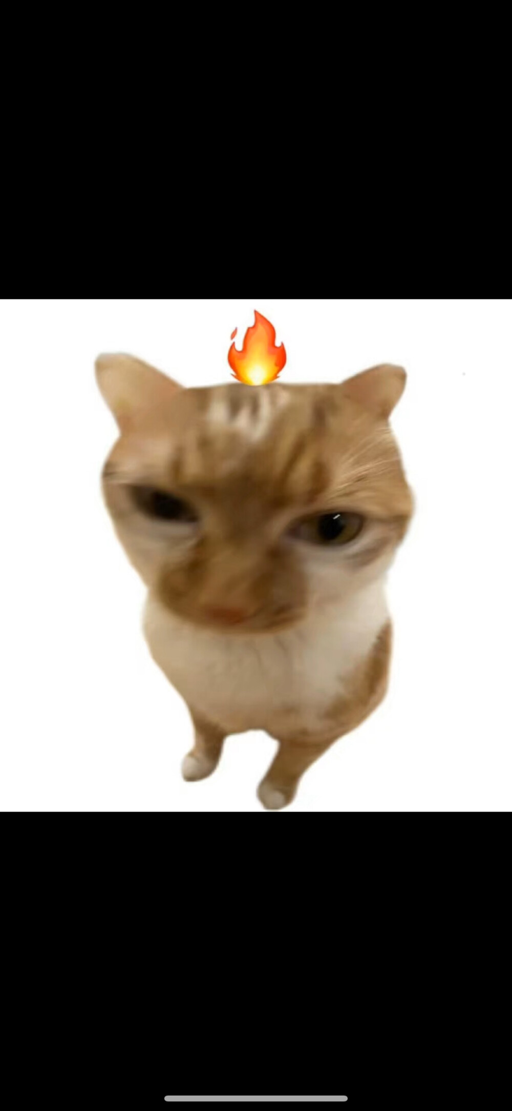 表情包