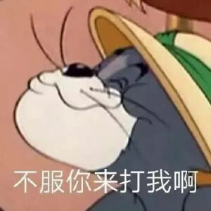表情包｜猫和老鼠
