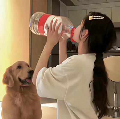 情头