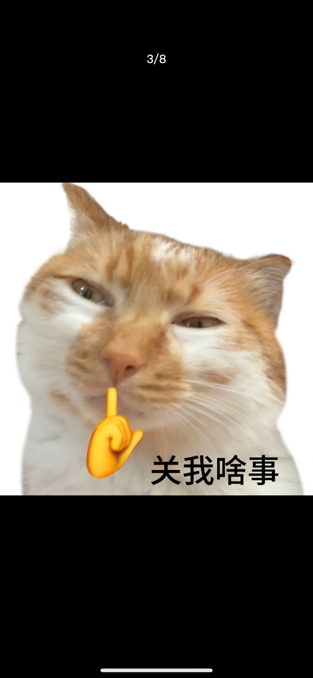 表情包
