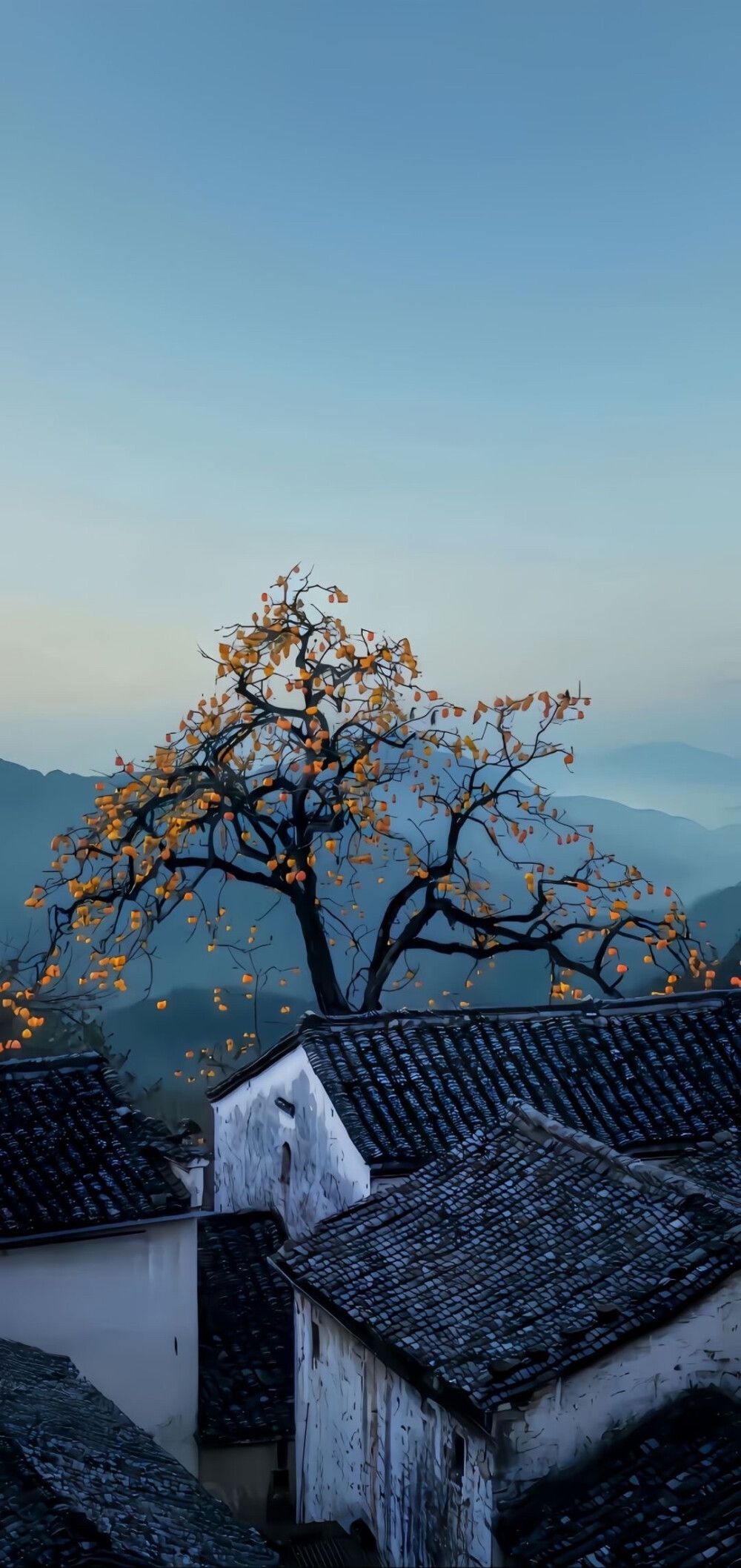 壁纸