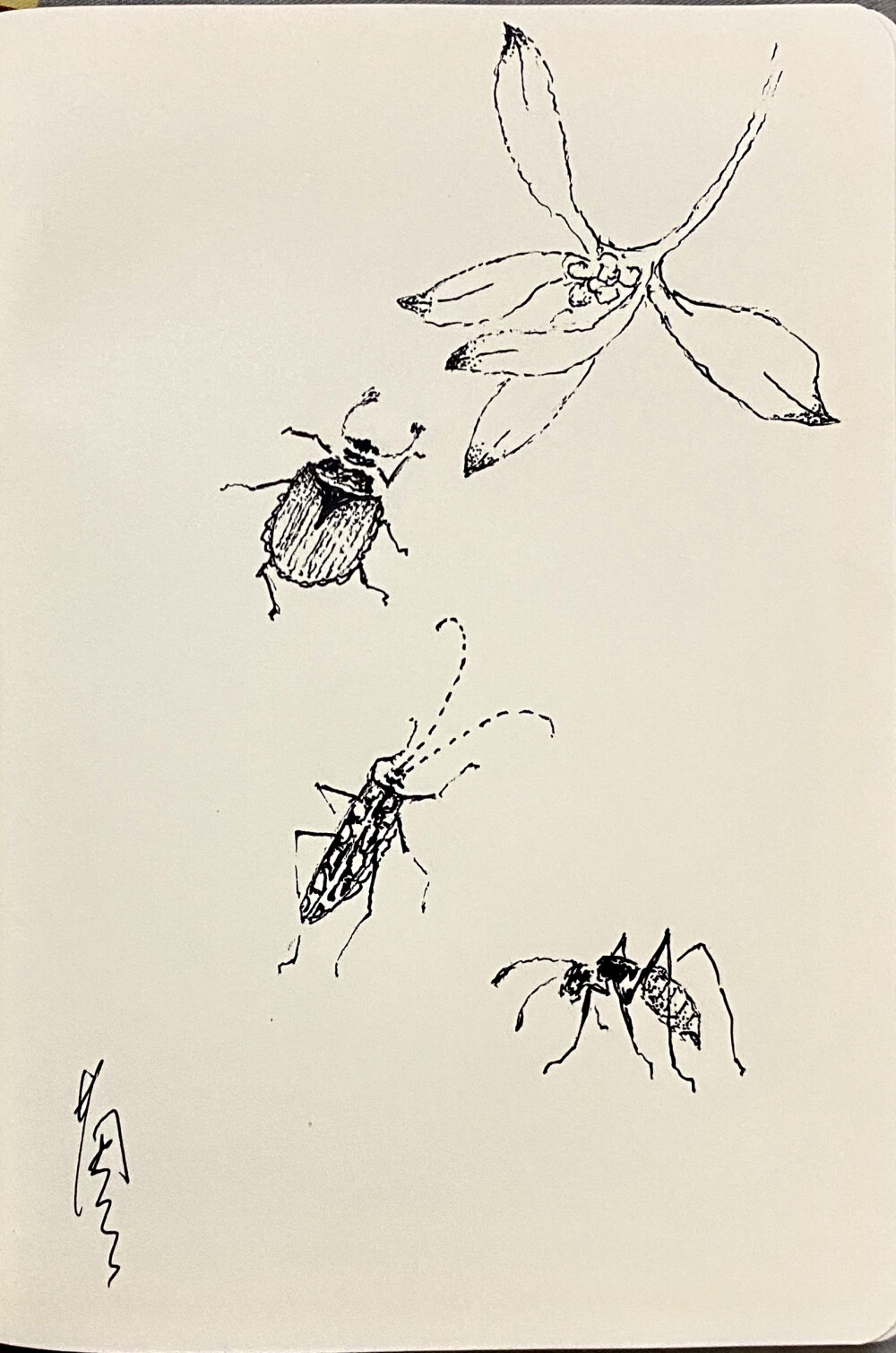 《针管笔点绘》