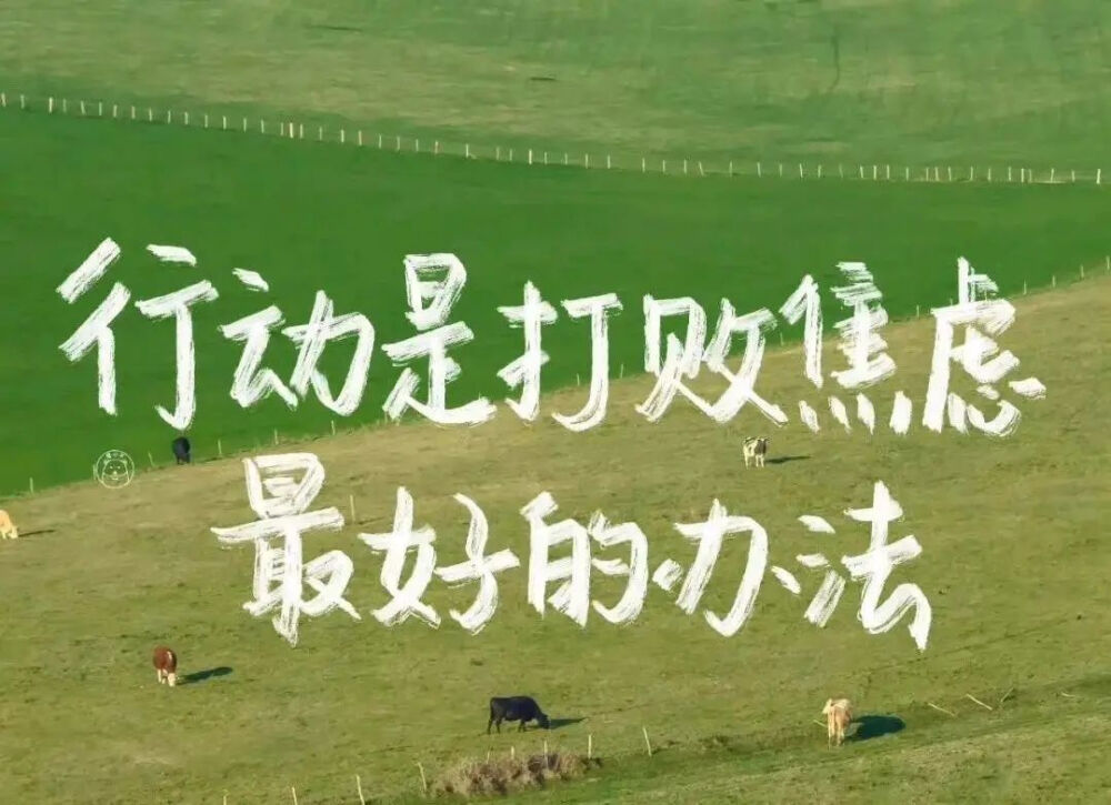 电脑桌面壁纸