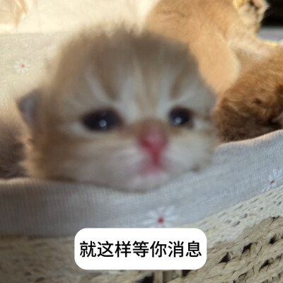 我就这么乖