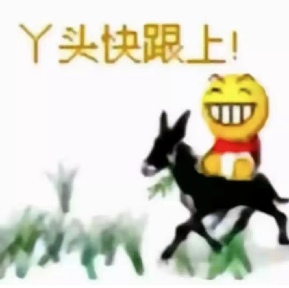 情头