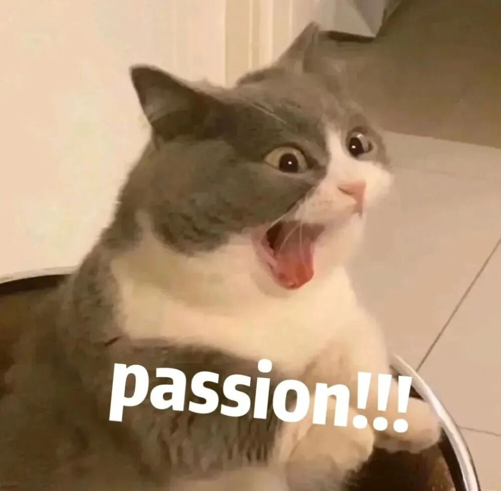 猫猫表情包