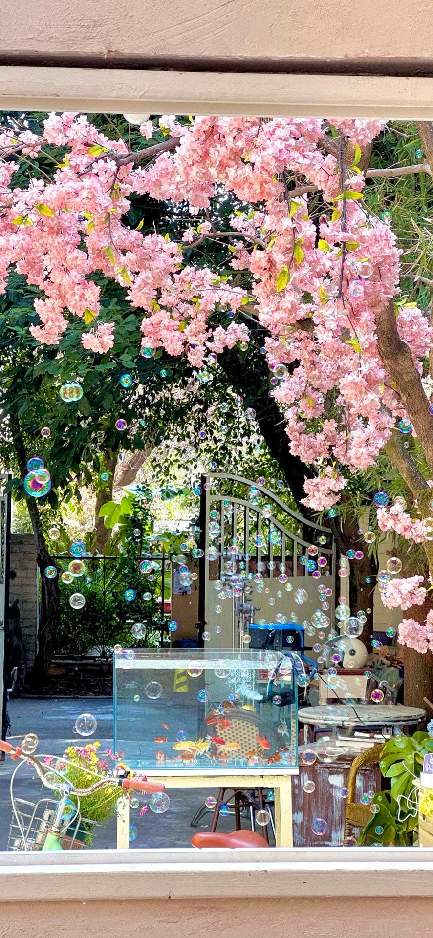 ins手机壁纸