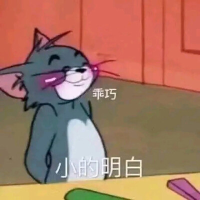 表情包｜猫和老鼠