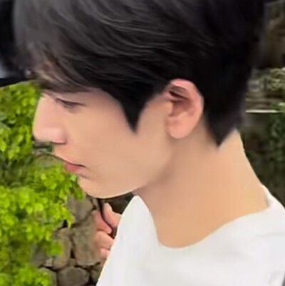 家玮