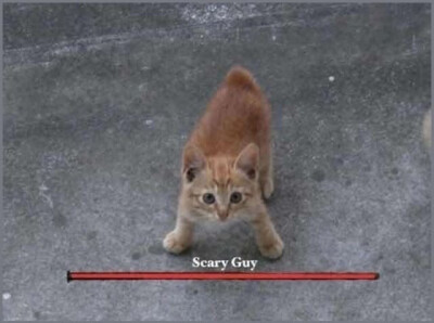 ？