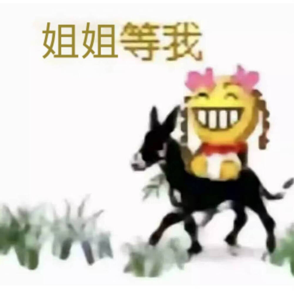 情头