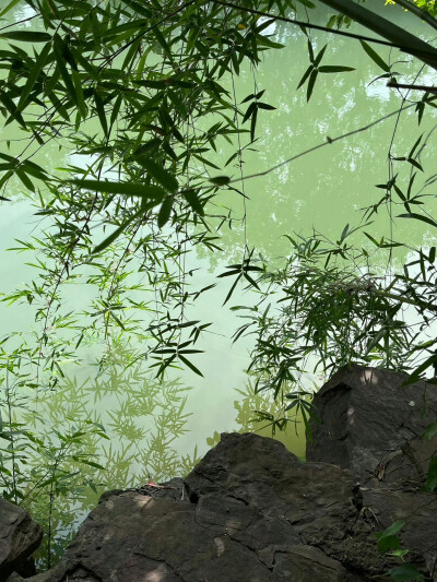 绿色