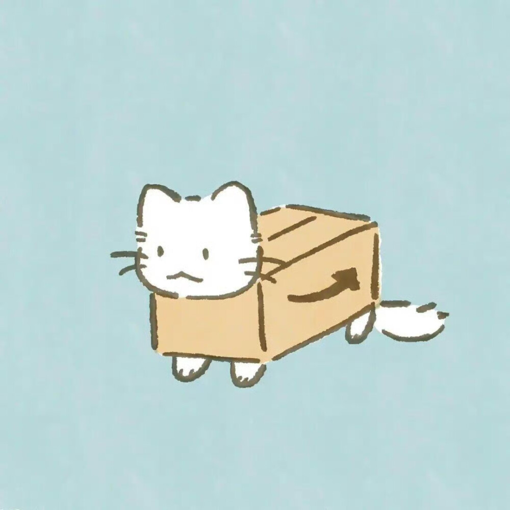 小猫咪头像
cr.