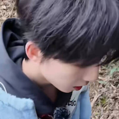 杨博文