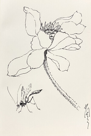 《针管笔点绘》