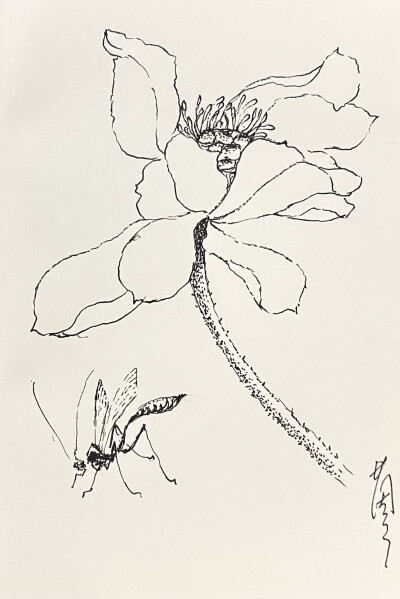 《针管笔点绘》