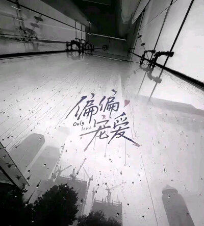 偏偏宠爱，江忍一孟听