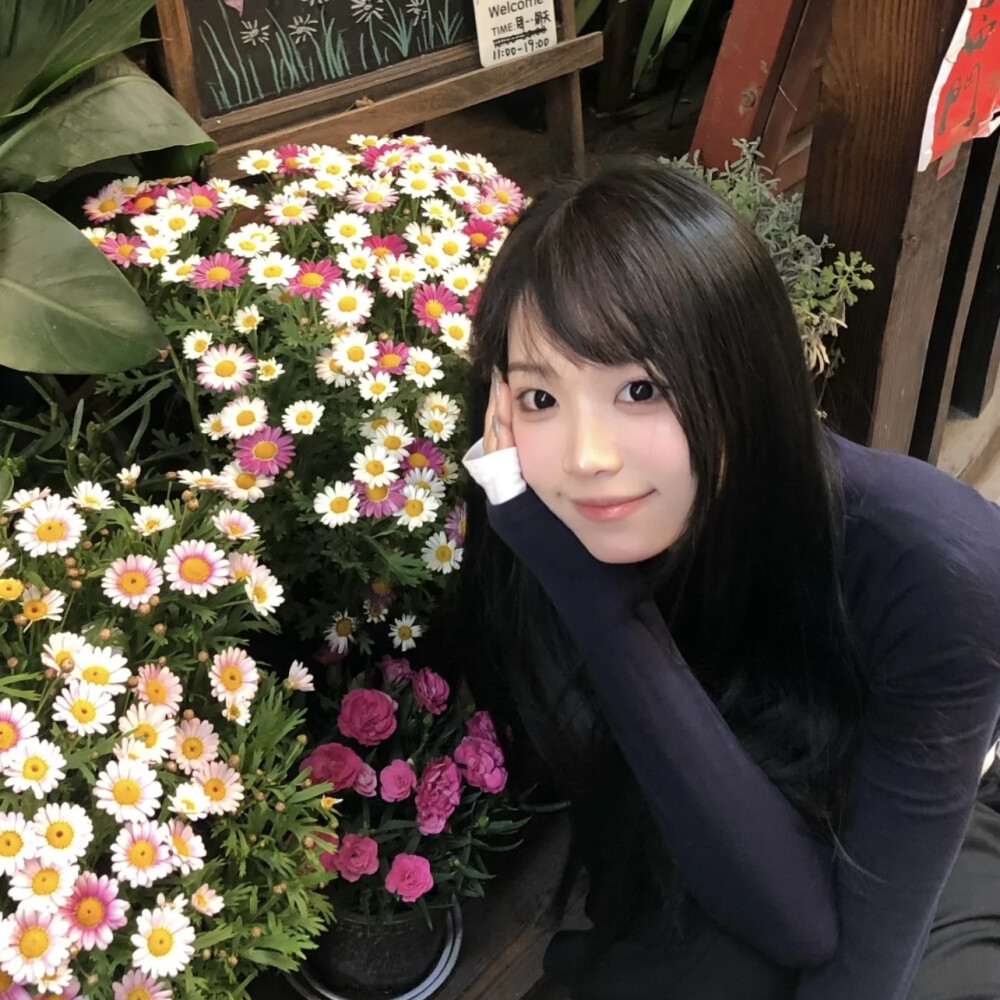 dt林宇婧