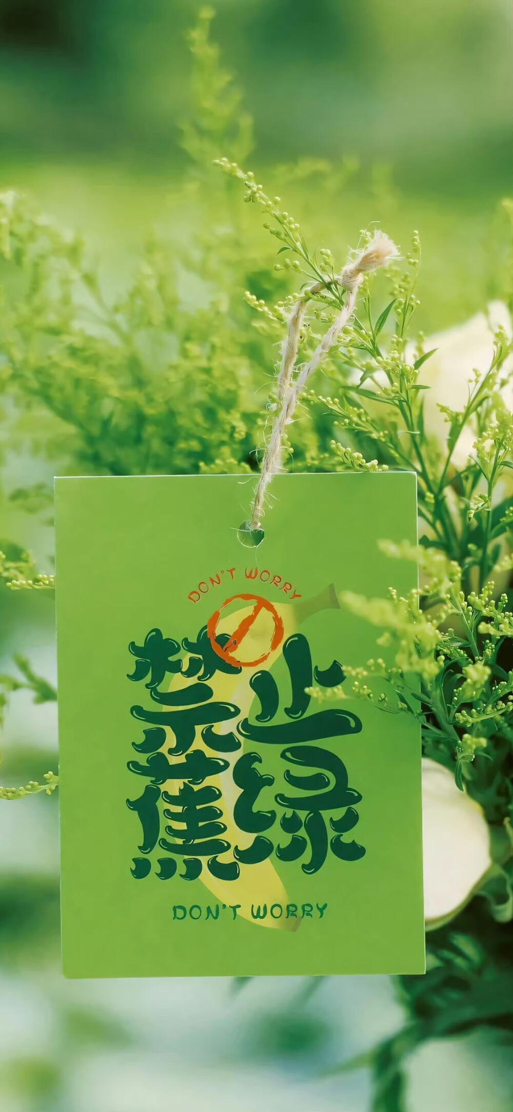 锁屏/壁纸
