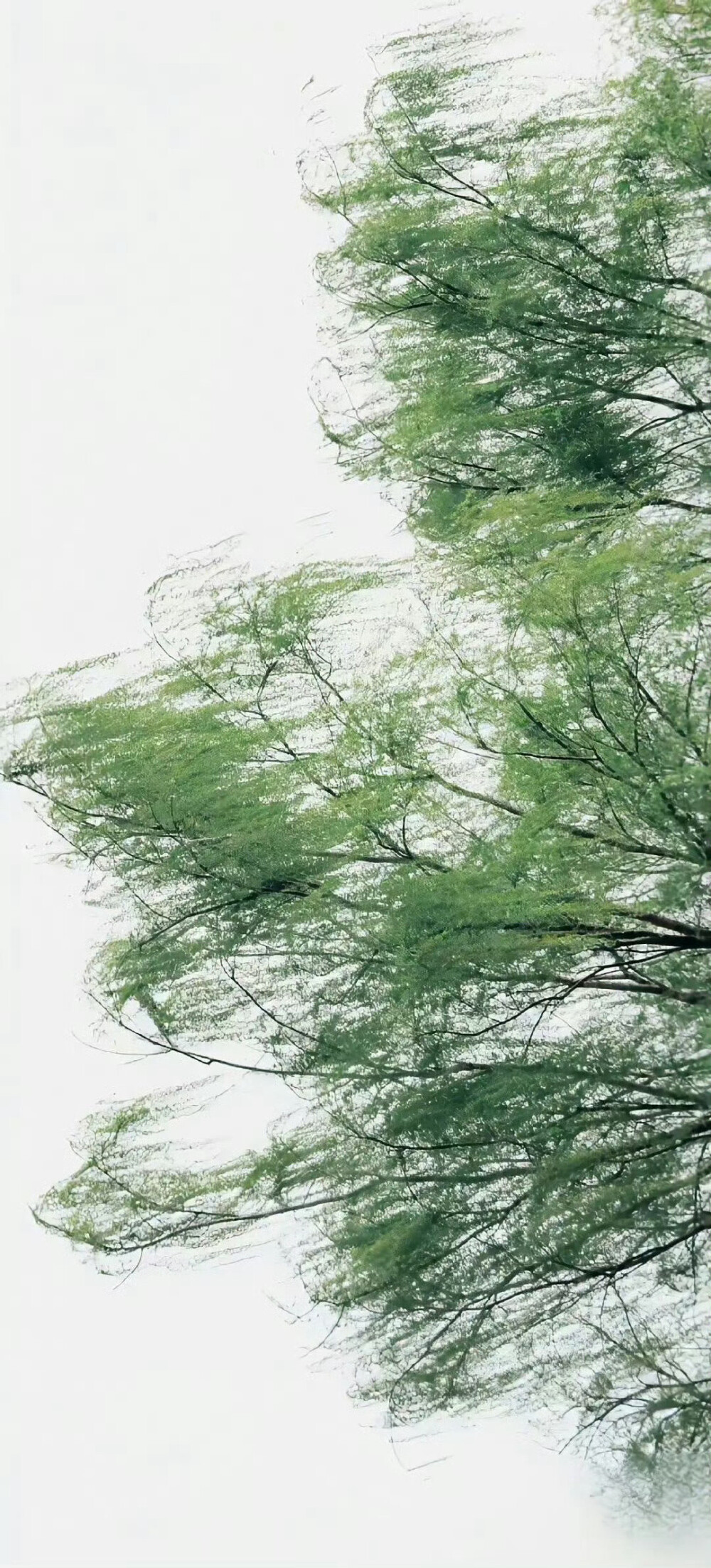 栖迟