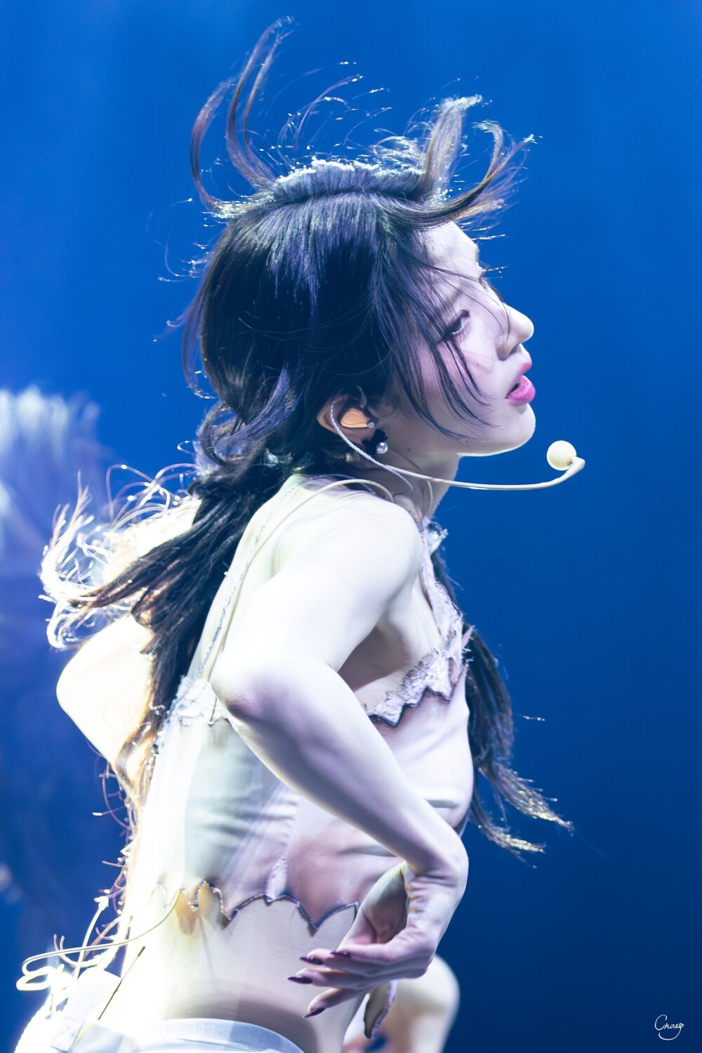 田姬振