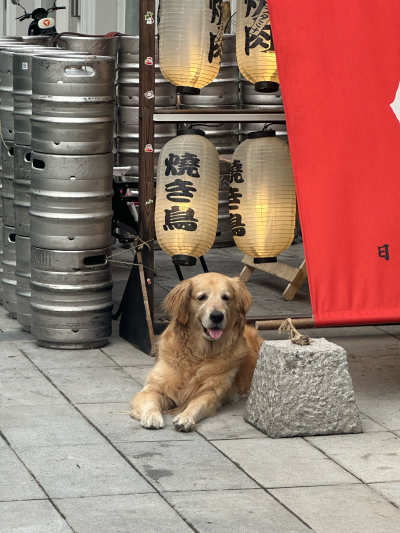 累累的…