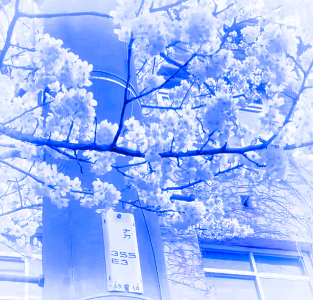 微调可二改
标°SianK_