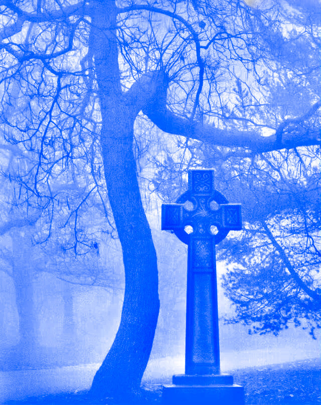 微调可二改
标°SianK_