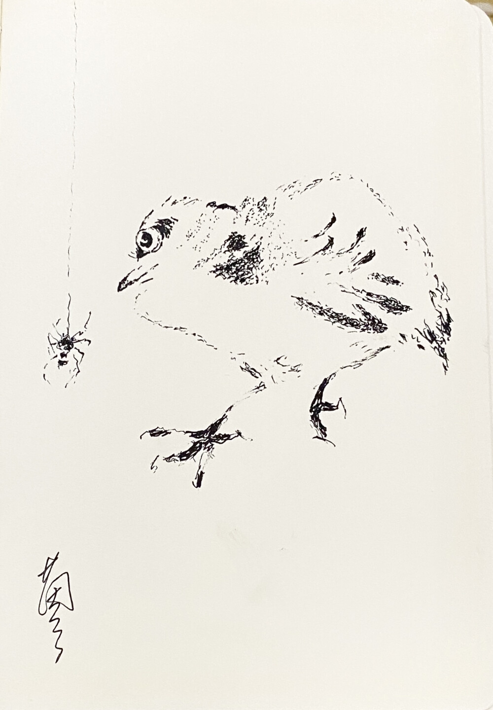 《针管笔点绘》