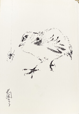 《针管笔点绘》