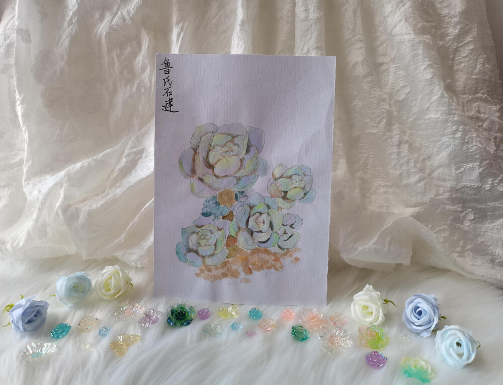 25 鲁氏石莲（绘画 | 水彩 | 果花甘02）
2018.05.21
鲁氏石莲，很像用鹅卵石雕刻的莲花。灰绿或灰蓝的叶子上因为有白霜，看起来就更像石料了。
很多时候都在想，石莲花是不是就是这么命名的呢？
画了一幅鲁氏石莲，颜色很淡。很清浅的淡紫、淡黄、淡绿和淡蓝色交织，为整株多肉笼罩了一层光晕，真是好温柔浪漫的多肉呢。
这个时候对深浅明暗的对比还没有什么概念，整株多肉的叶子是一个颜色，没有体积感。为了表现深色的区域，也用了褐色，心想，颜色深了就可以了。
不过还是很高兴的。因为为石莲的叶瓣调出了很梦幻的颜色。