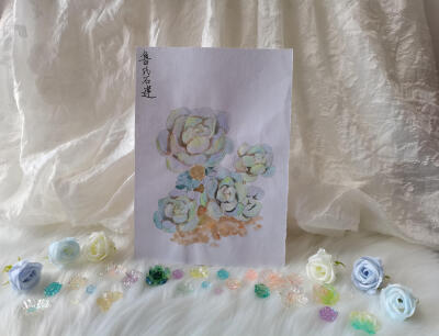 25 鲁氏石莲（绘画 | 水彩 | 果花甘02）
2018.05.21
鲁氏石莲，很像用鹅卵石雕刻的莲花。灰绿或灰蓝的叶子上因为有白霜，看起来就更像石料了。
很多时候都在想，石莲花是不是就是这么命名的呢？
画了一幅鲁氏石莲…