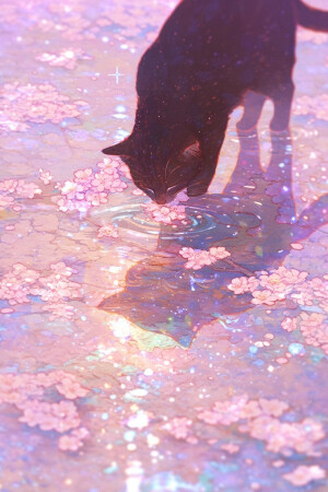 【全是猫】吃我一套喵喵拳②