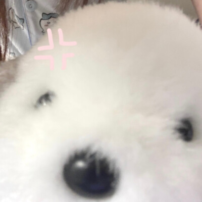 情头。